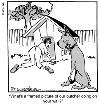 marmaduke